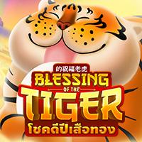 Blessing of the Tiger